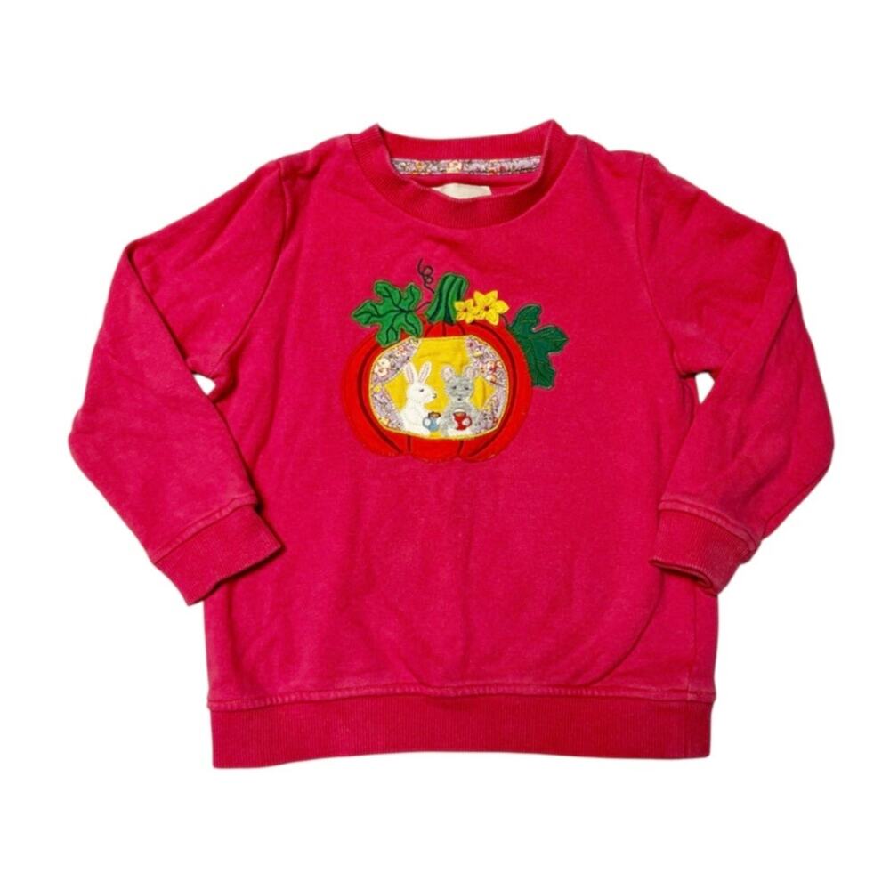 Mini Boden Woodland Creatures Pumpkin Appliqué Sweatshirt Size 3/4